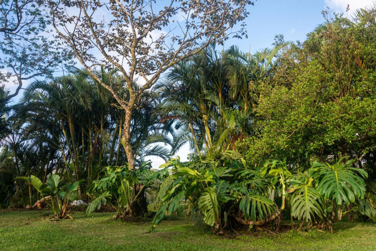 Vista Lago Arenal Piedras Buitenkant foto