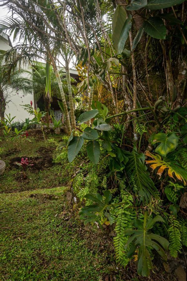 Vista Lago Arenal Piedras Buitenkant foto
